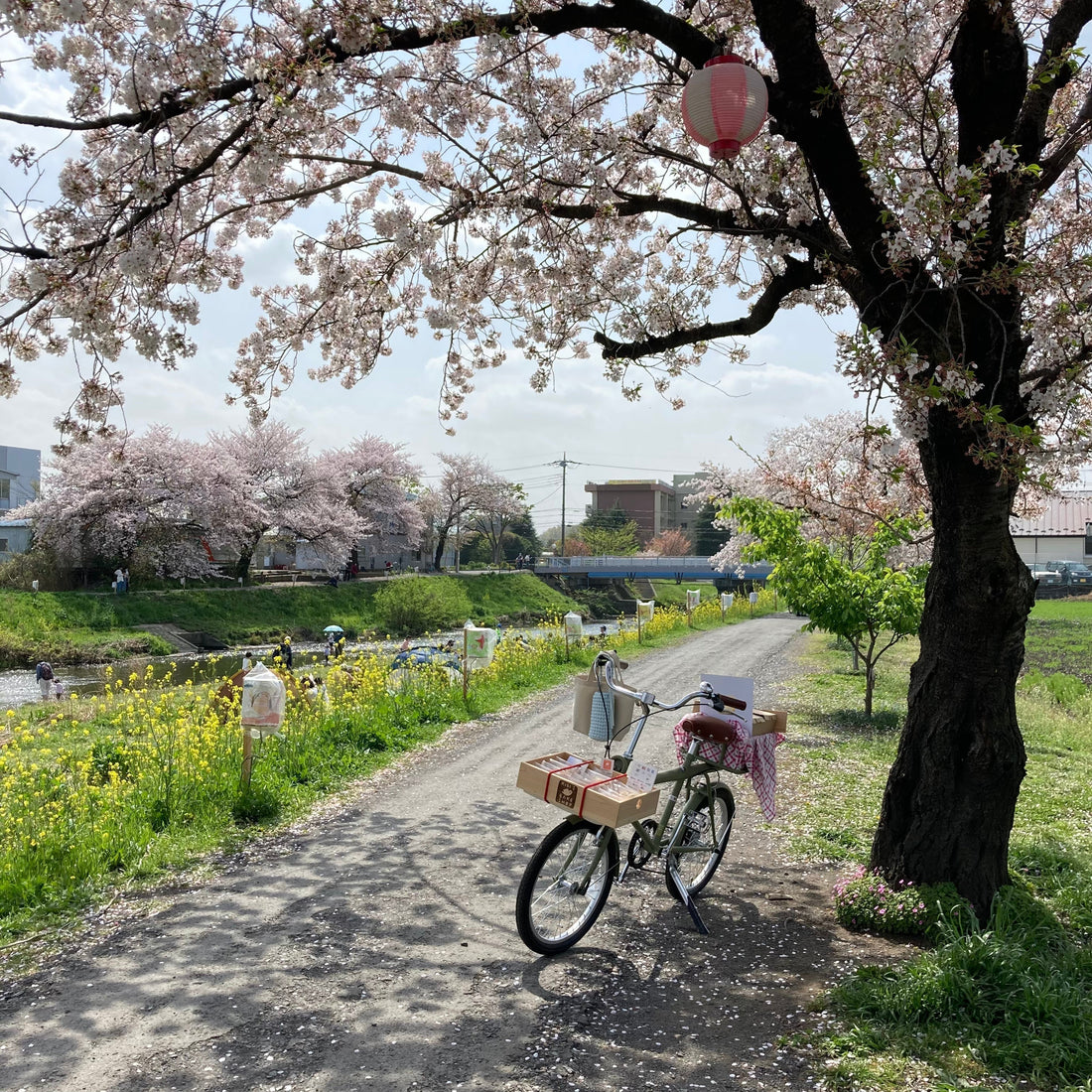 13 やってきてよかったと思う日