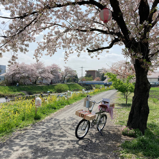 13 やってきてよかったと思う日