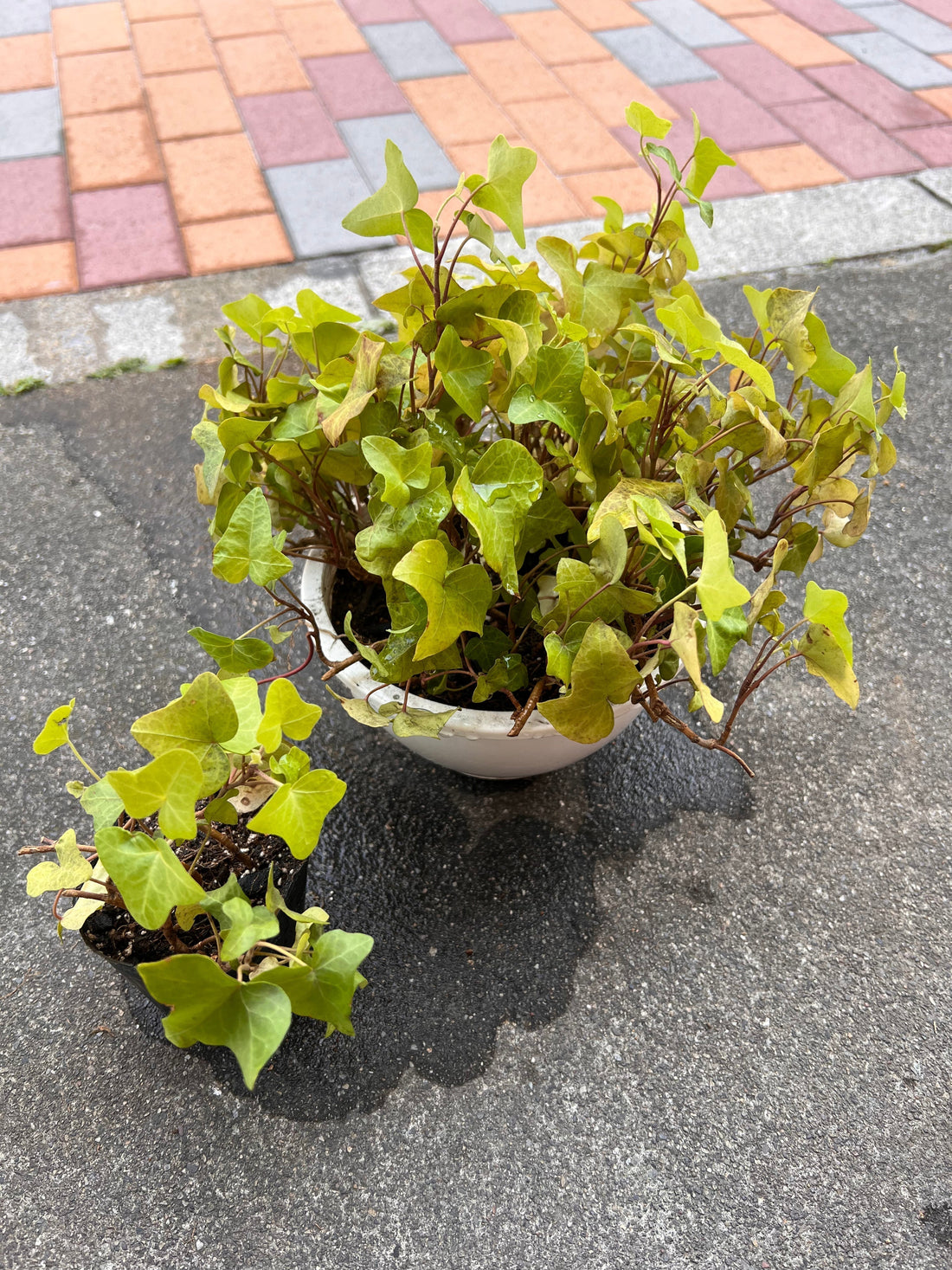 10　夏支度
