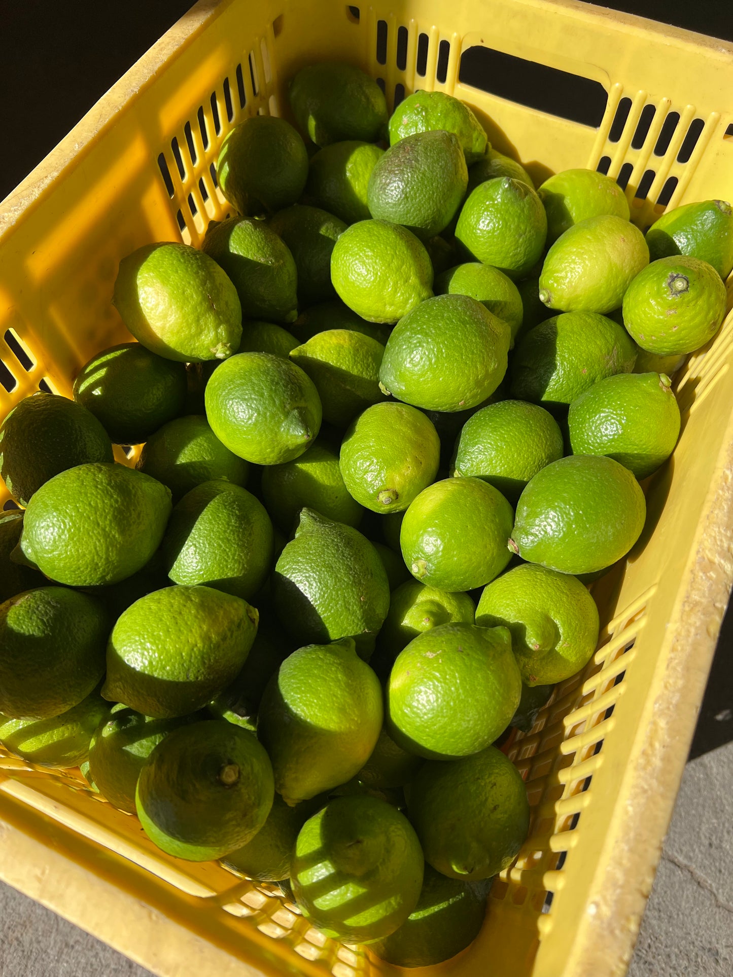 11月の瀬戸田ベルガモットとグリーンレモンのおやつ便 (11/17まで受付)