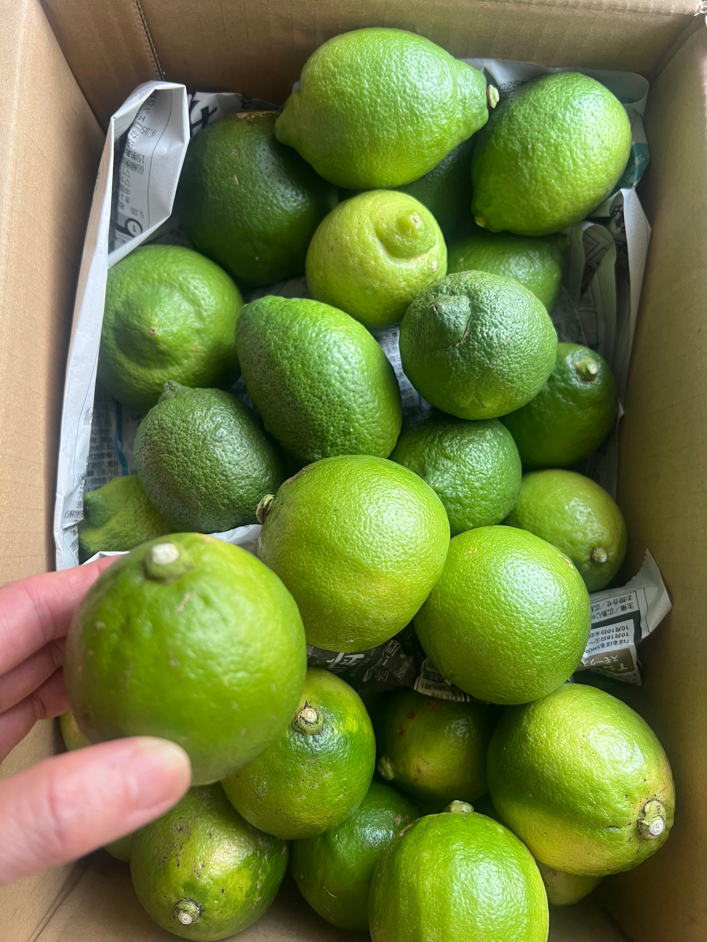 11月の瀬戸田ベルガモットとグリーンレモンのおやつ便 (11/17まで受付)