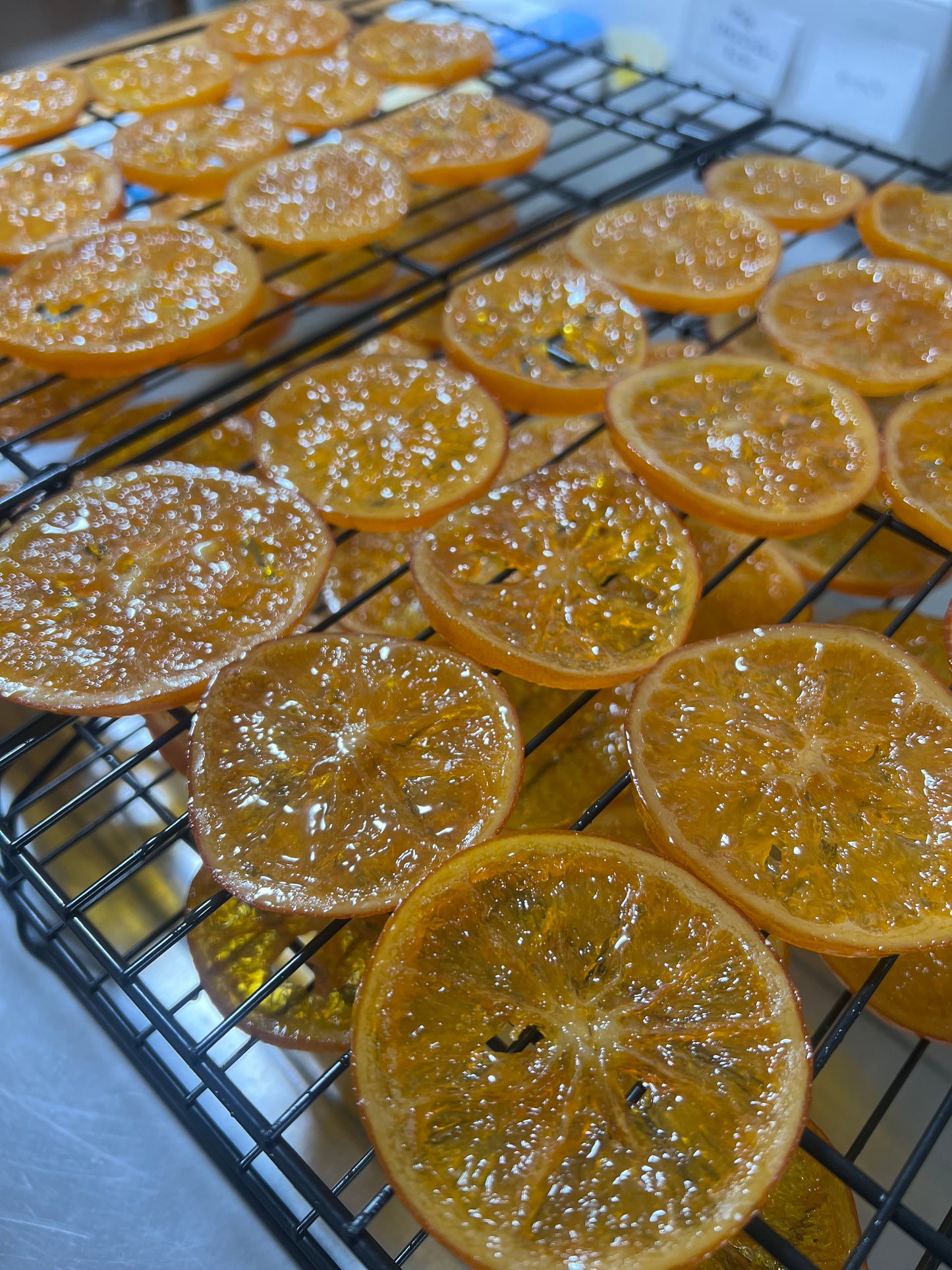 瀬戸田産ネーブルのオランジェット