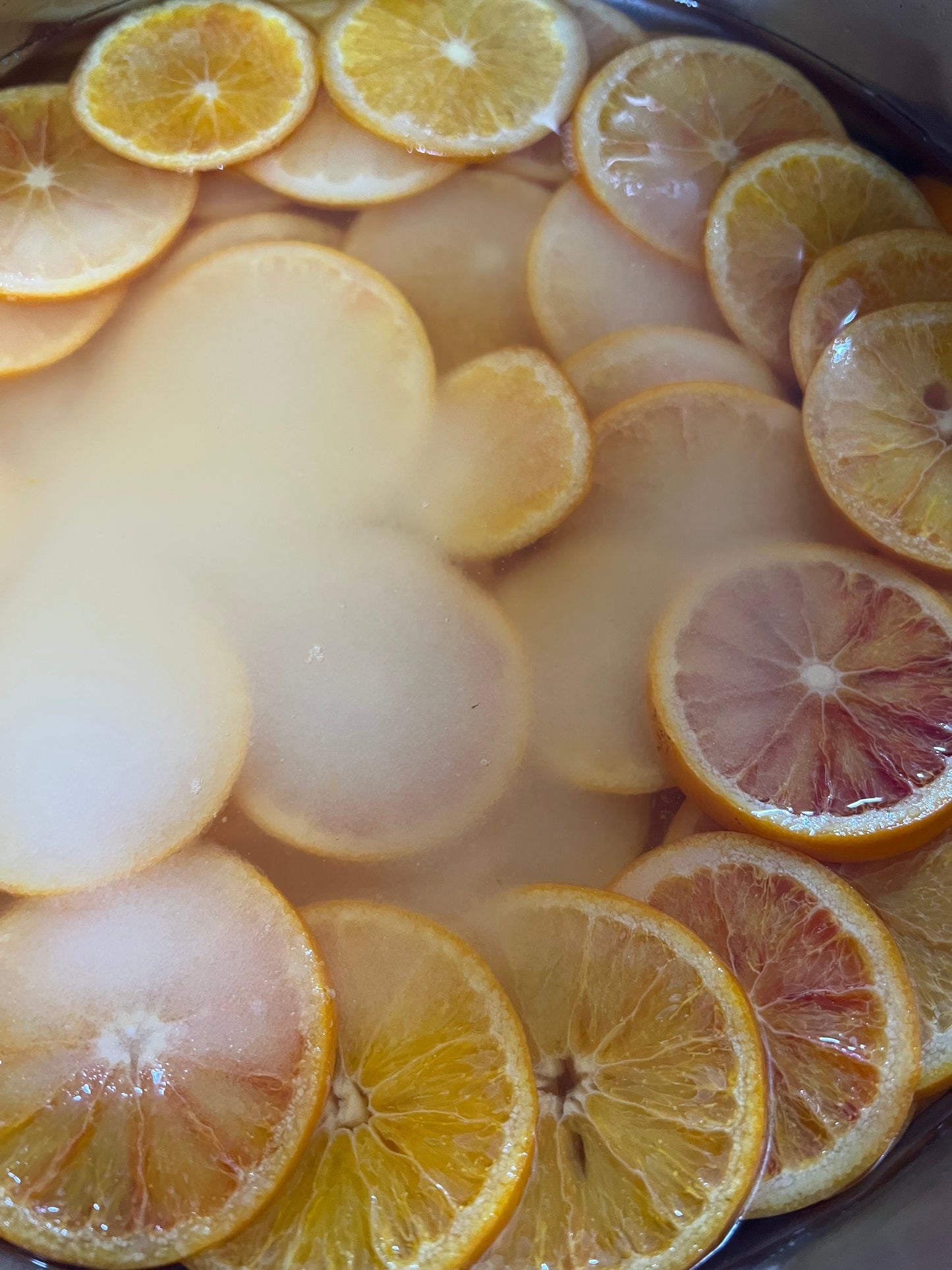 瀬戸田産ネーブルのオランジェット